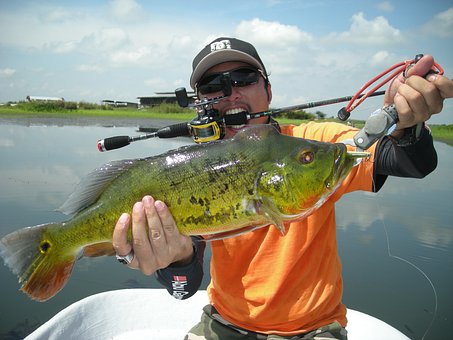 Bass Fishing Tips