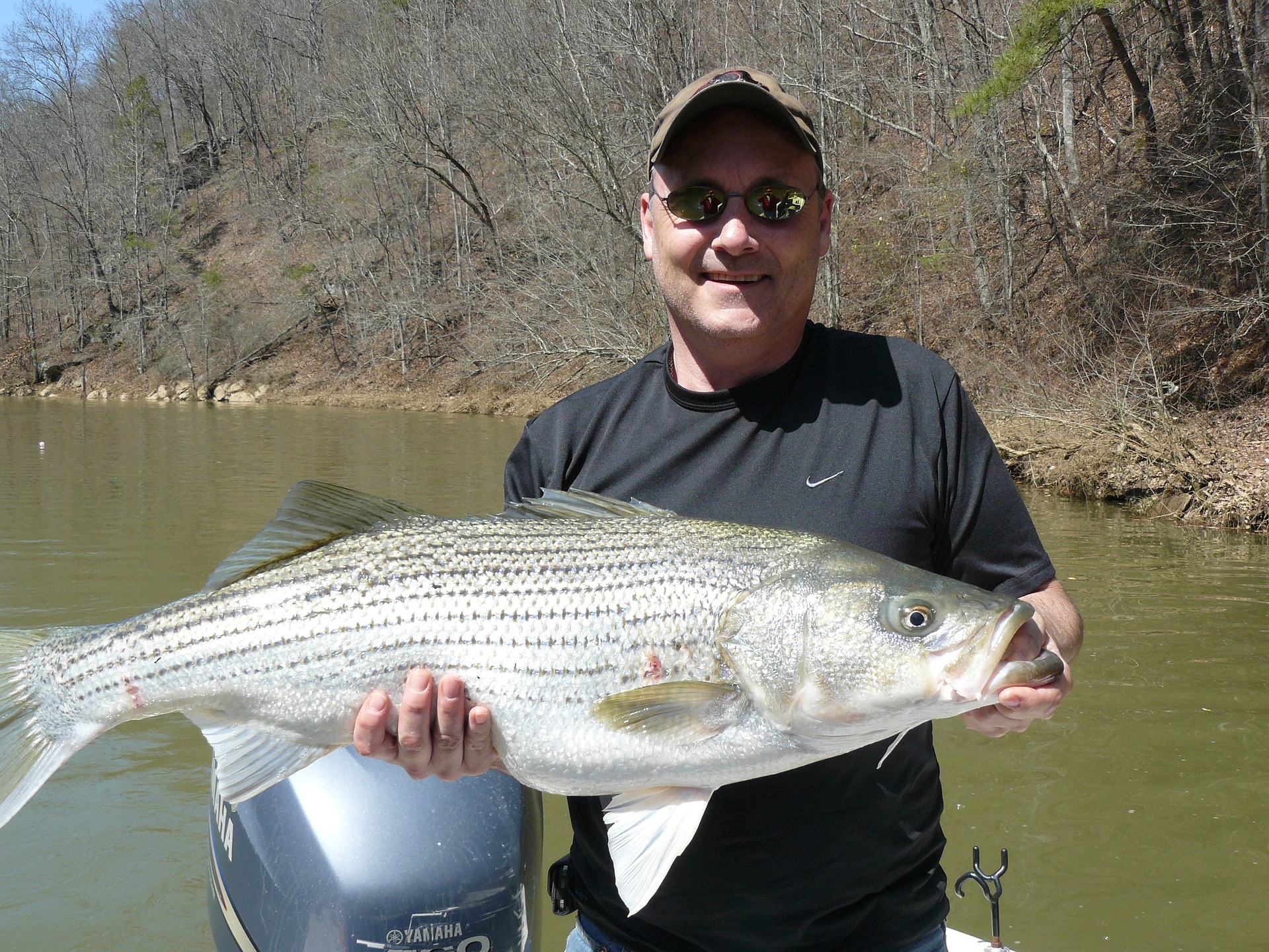 Bass Fishing Tip