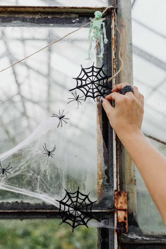 Get Rid of Spiders On Your Boat