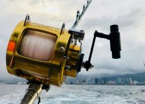 13 Fishing Spinning Reels